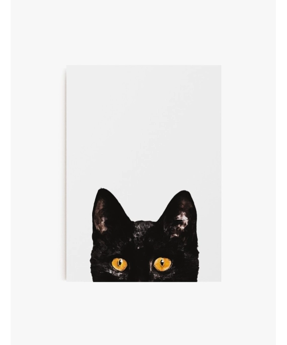 Cuadro Gato Curioso | Be Minimal