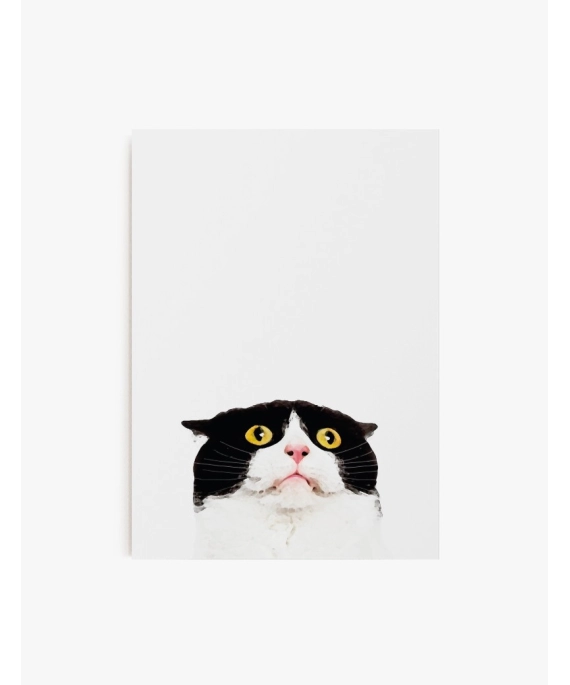 Cuadro Gato Asustado | Be Minimal