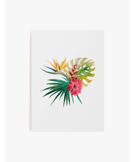 Cuadro Flores Tropicales | Be Minimal