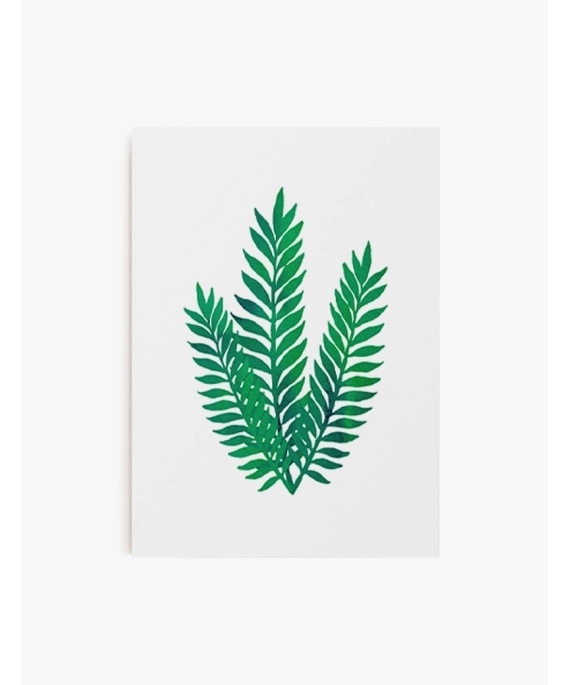 Cuadro Tres Helechos | Be Minimal