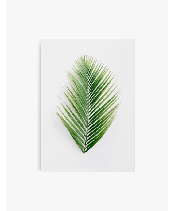Cuadro Palma Tropical| Be Minimal