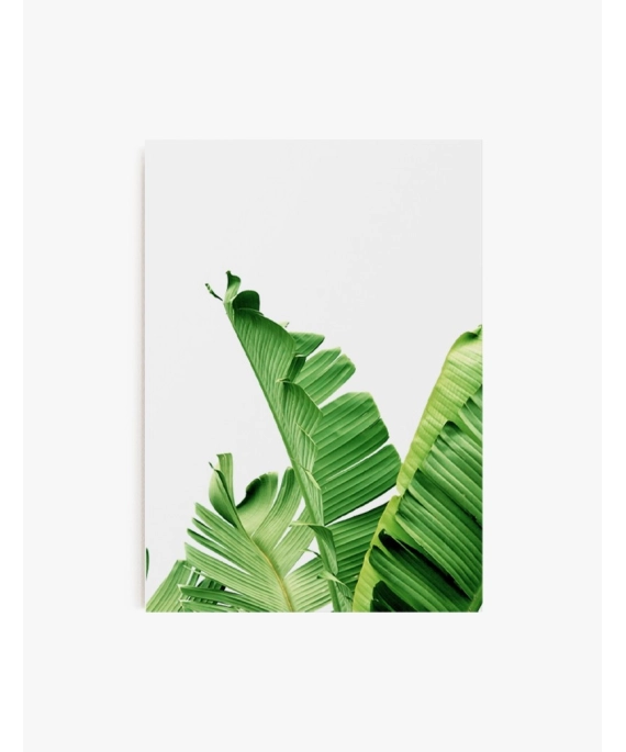 Cuadro Hoja Banana 01 | Be Minimal