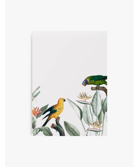 Cuadro Tropical birds | Be Minimal