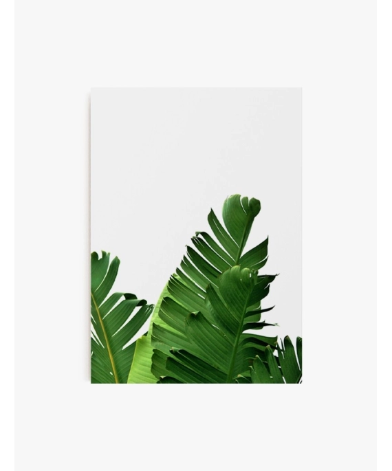 Cuadro Hoja Banana 02 | Be Minimal