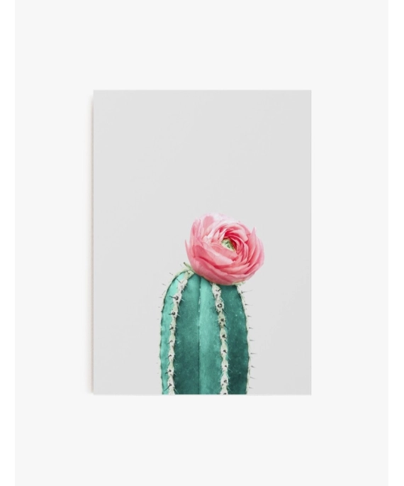 Cuadro Cactus y Flor 01 | Be Minimal
