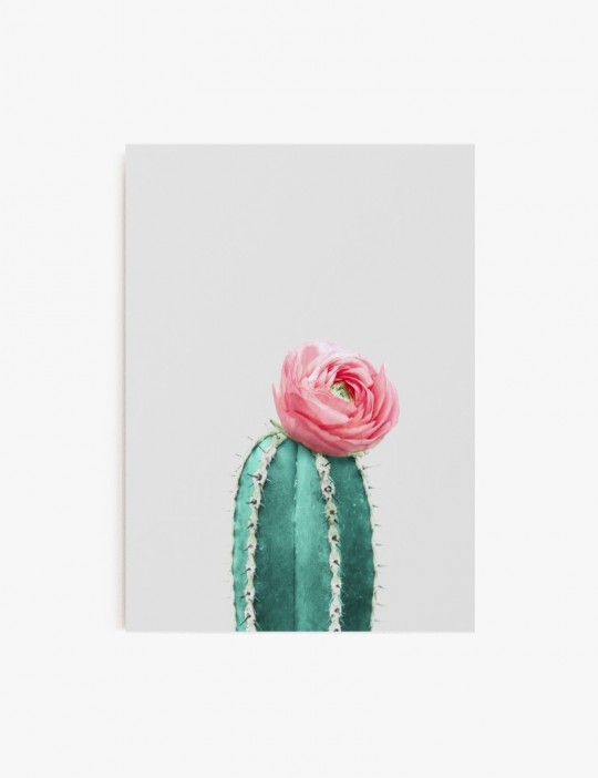 Cactus y Flor 01