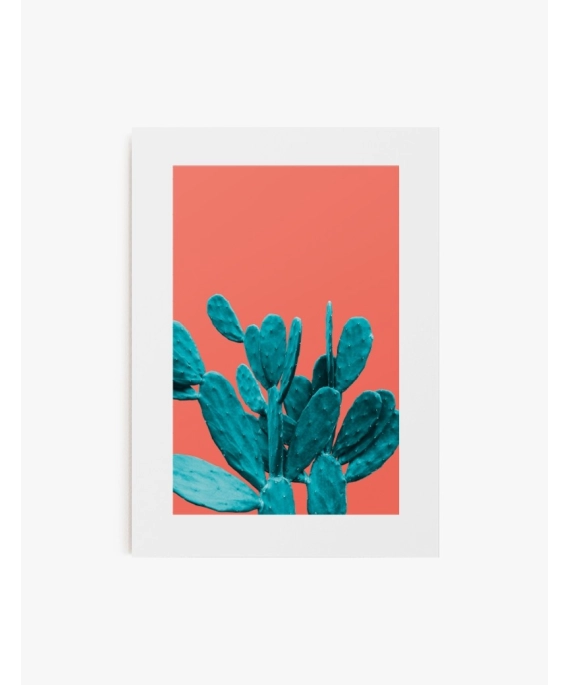Cuadro Cactus Color 02 | Be Minimal