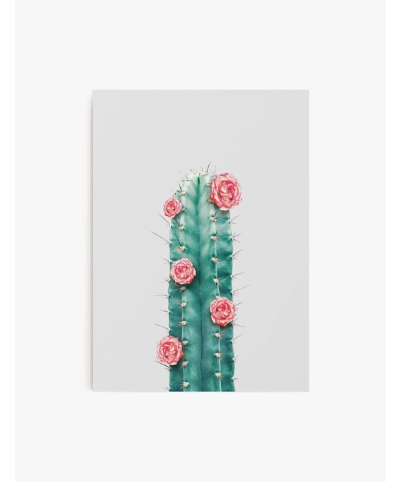 Cuadro Cactus y Flor 02 | Be Minimal