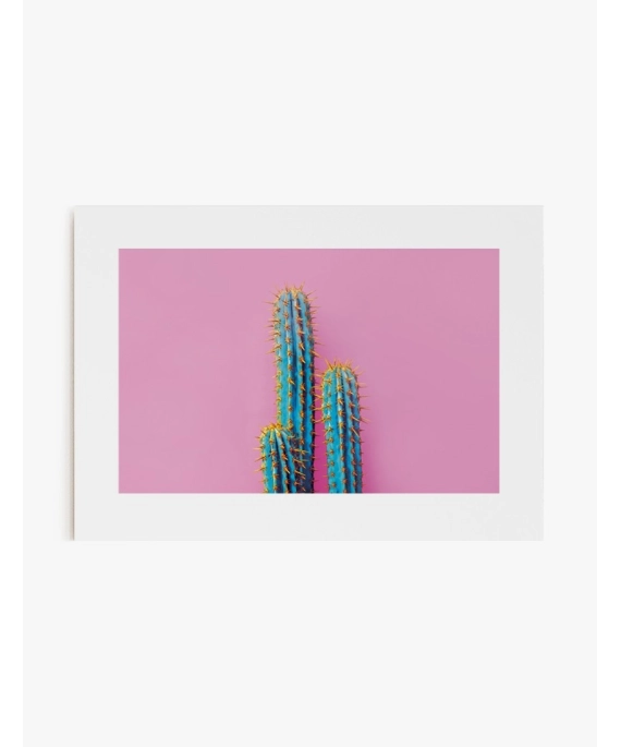 Cuadro Cactus Color 01 | Be Minimal