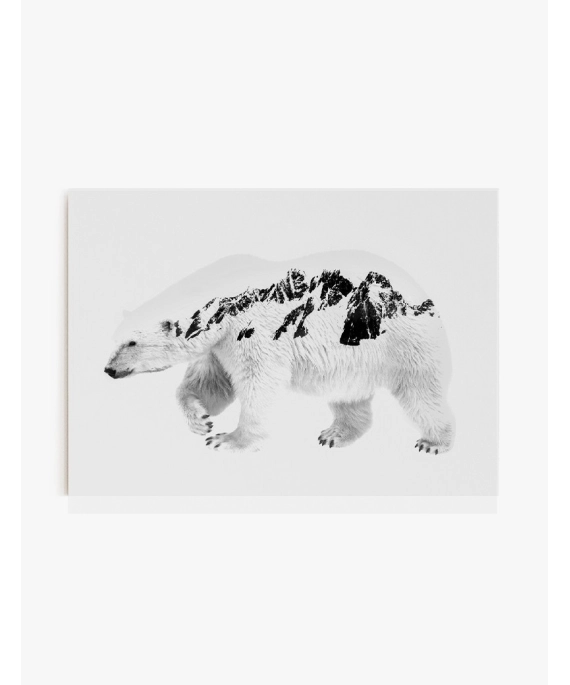 Cuadro Oso Polar | Be Minimal