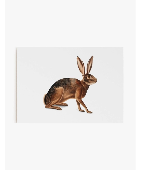 Cuadro Liebre | Be Minimal