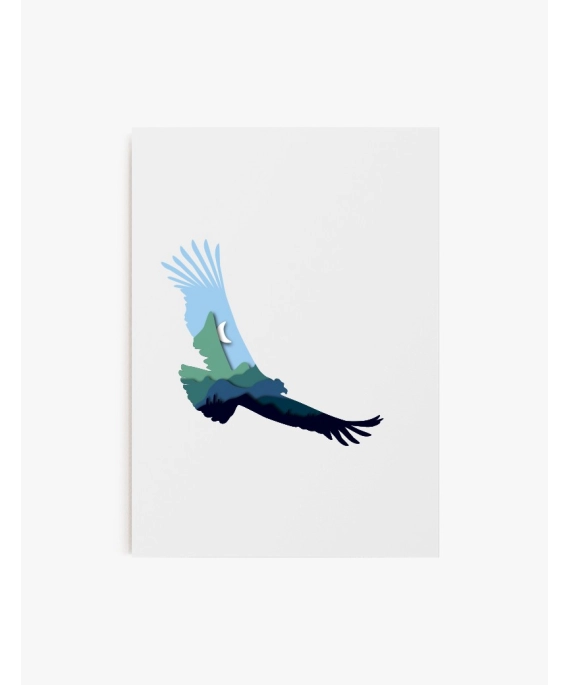 Cuadro Cóndor | Colección fauna Chilena | Be Minimal