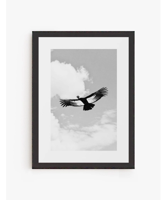 Cuadro Condor | Be Minimal