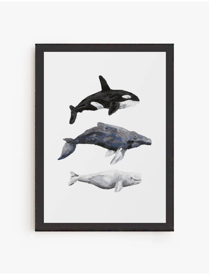 Cuadro Cetáceos | Be Minimal