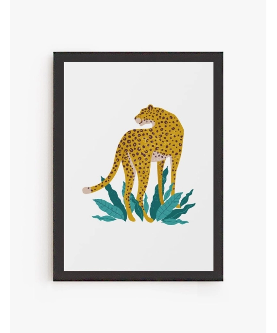 Cheetah