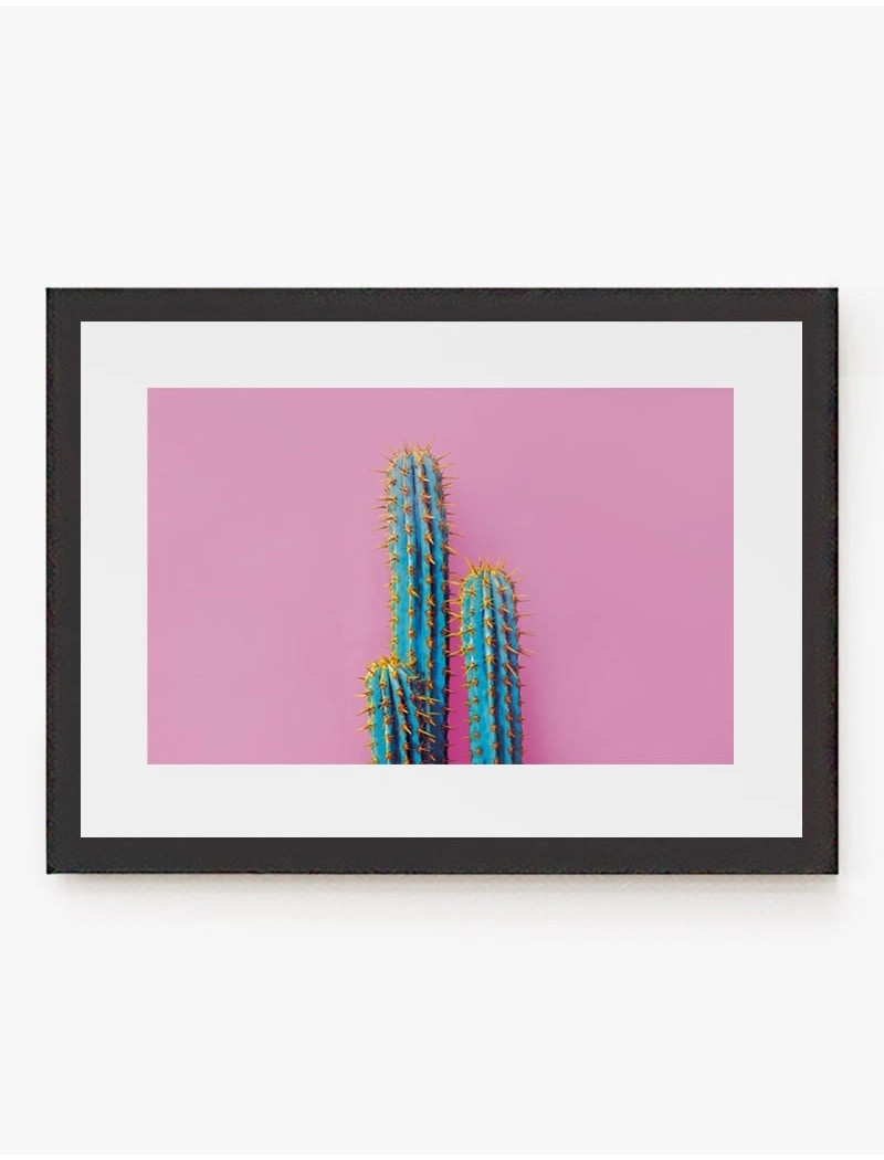 Cuadro Cactus Color 01 | Be Minimal