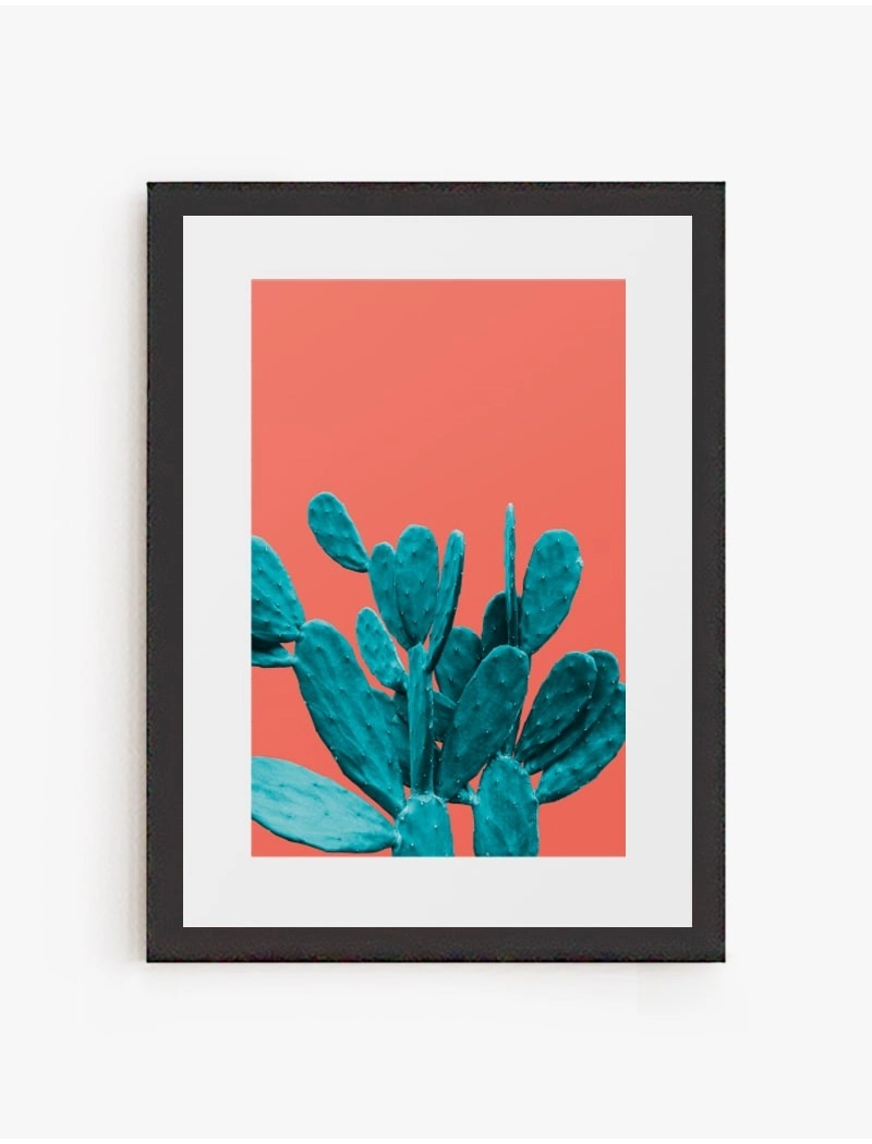 Cuadro Cactus Color 02 | Be Minimal