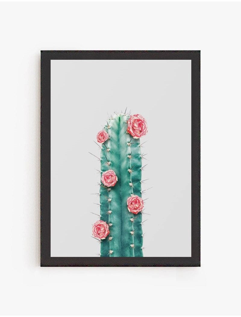 Cuadro Cactus y Flor 02 | Be Minimal