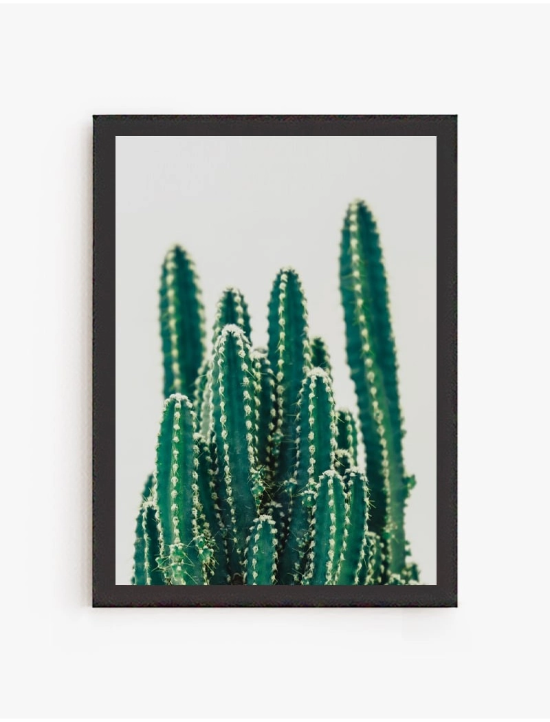Cuadro Family Cactus | Be Minimal