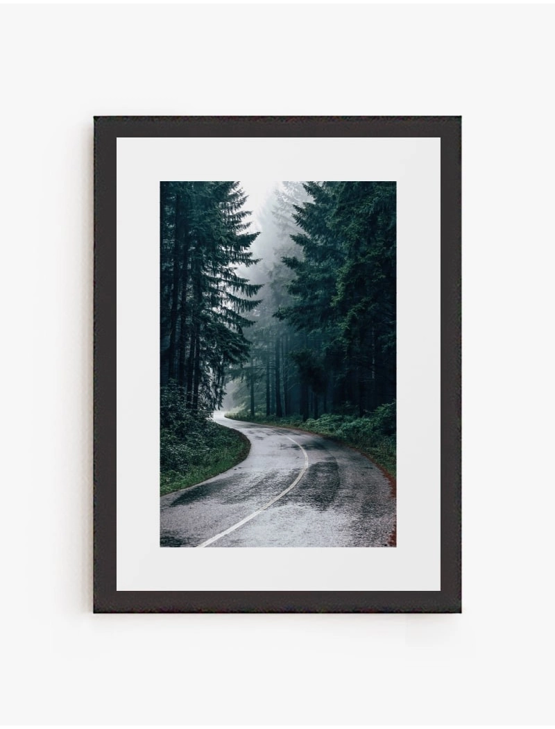 Cuadro Bosque | Be Minimal
