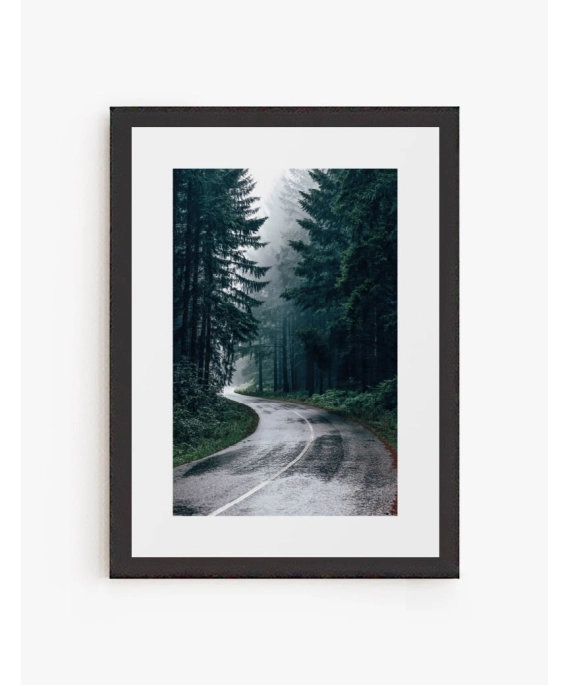 Cuadro Bosque | Be Minimal