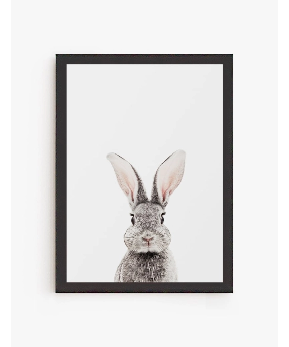Cuadro Conejo Gris | Be Minimal