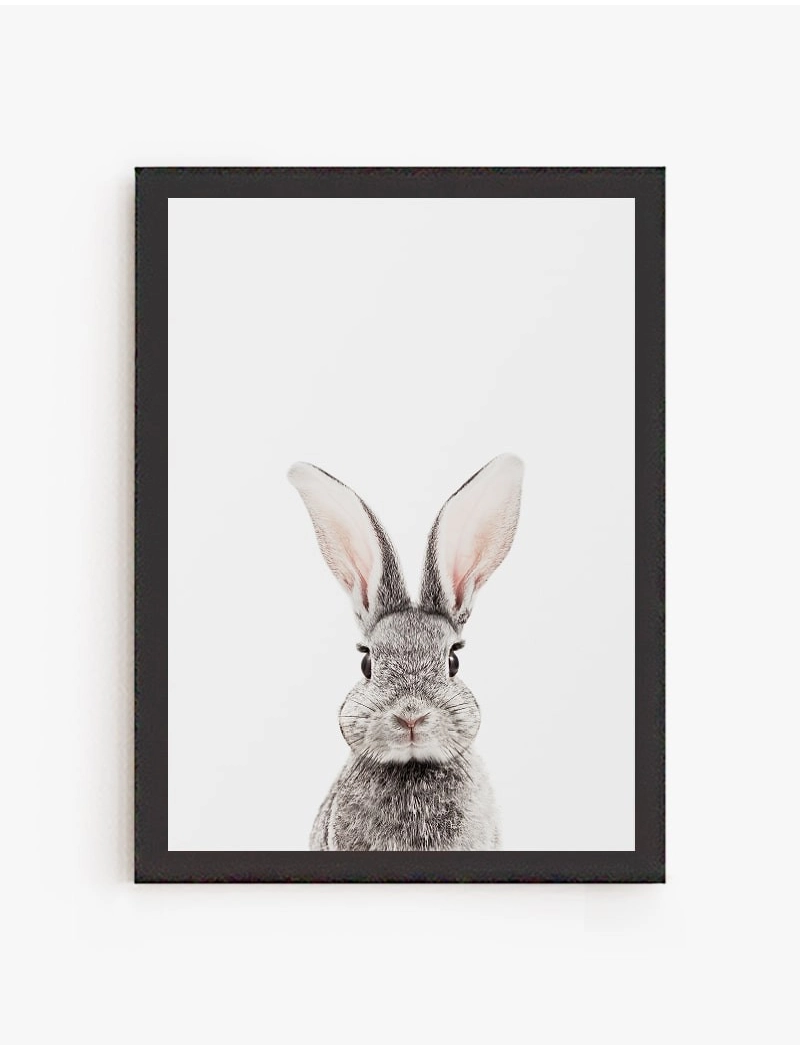 Cuadro Conejo Gris | Be Minimal