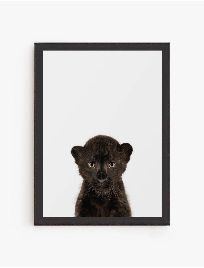 Cuadro Puma Bebe| Be Minimal
