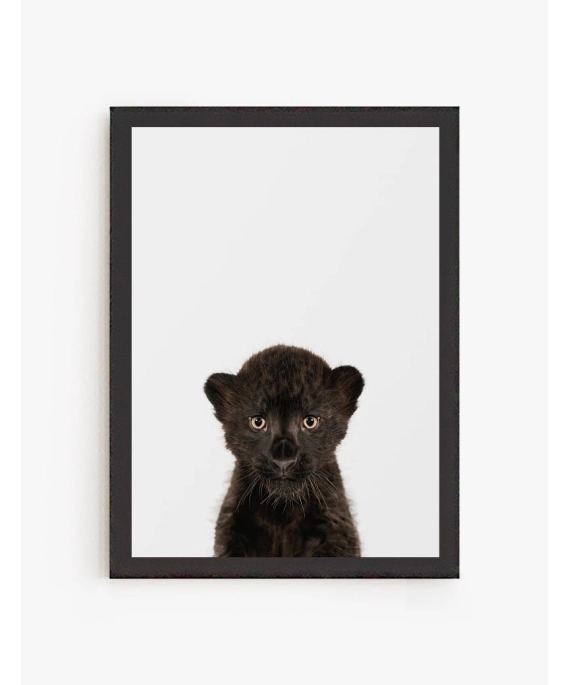 Cuadro Puma Bebe| Be Minimal