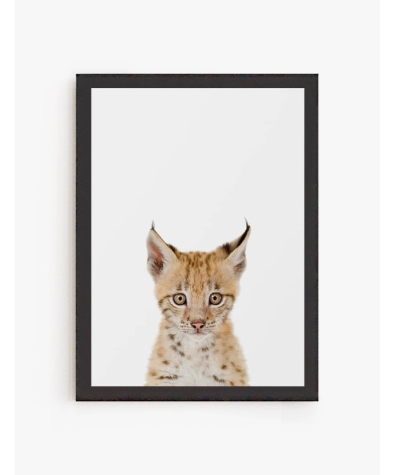 Cuadro Lince Bebe | Be Minimal