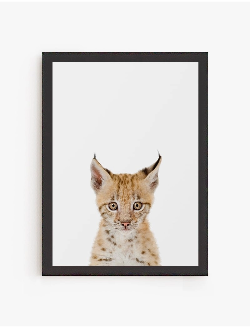 Cuadro Lince Bebe | Be Minimal