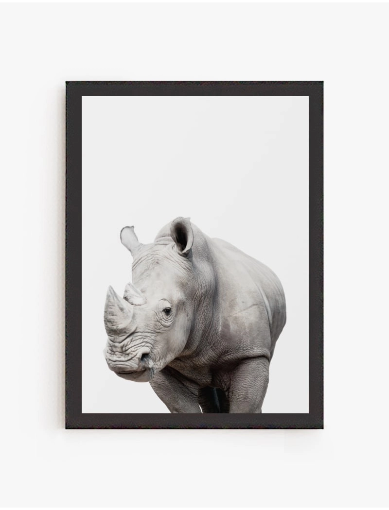 Cuadro Rinoceronte | Be Minimal