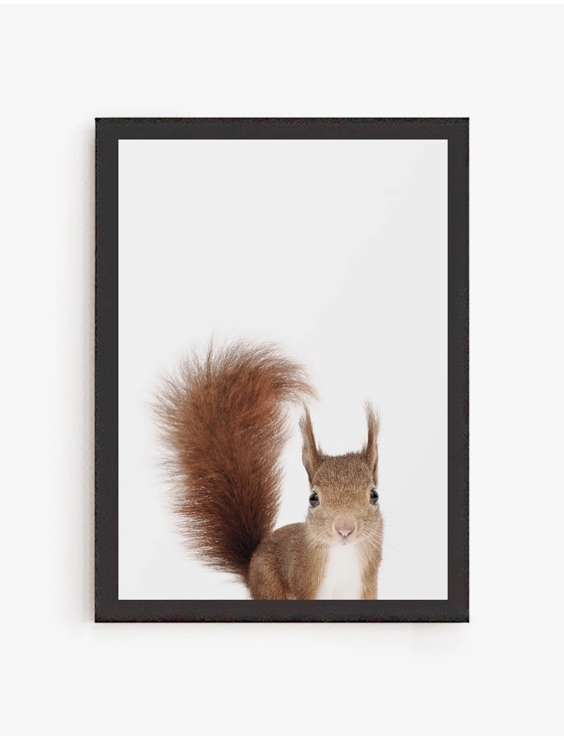 Cuadro Ardilla | Be Minimal