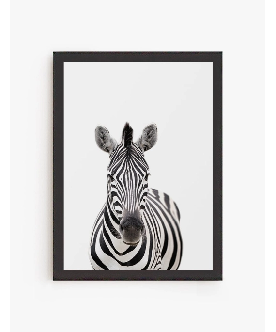 Cebra