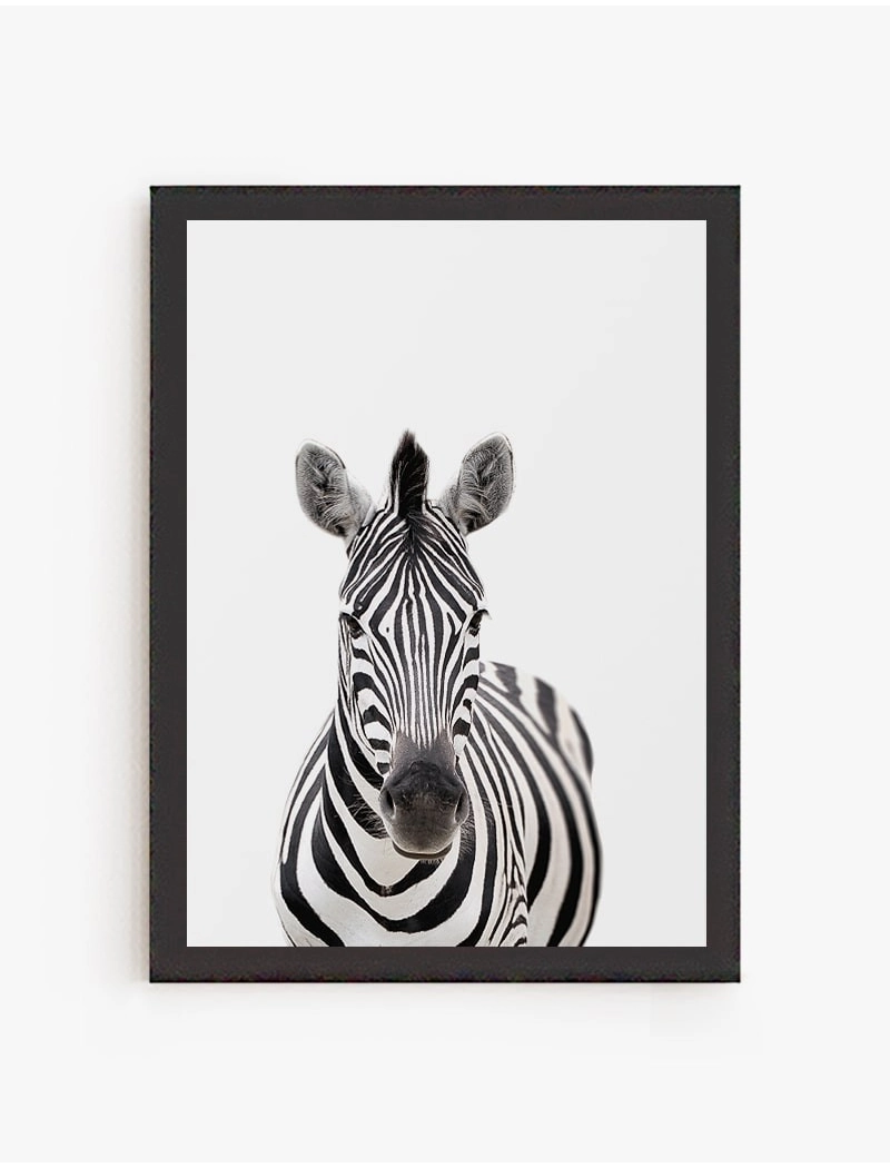 Cuadro Cebra| Be Minimal