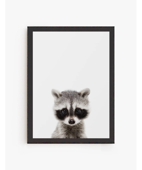 Cuadro Mapache Bebe | Be Minimal