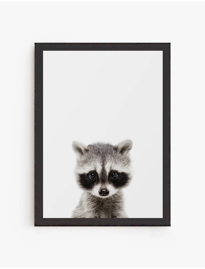 Cuadro Mapache Bebe | Be Minimal