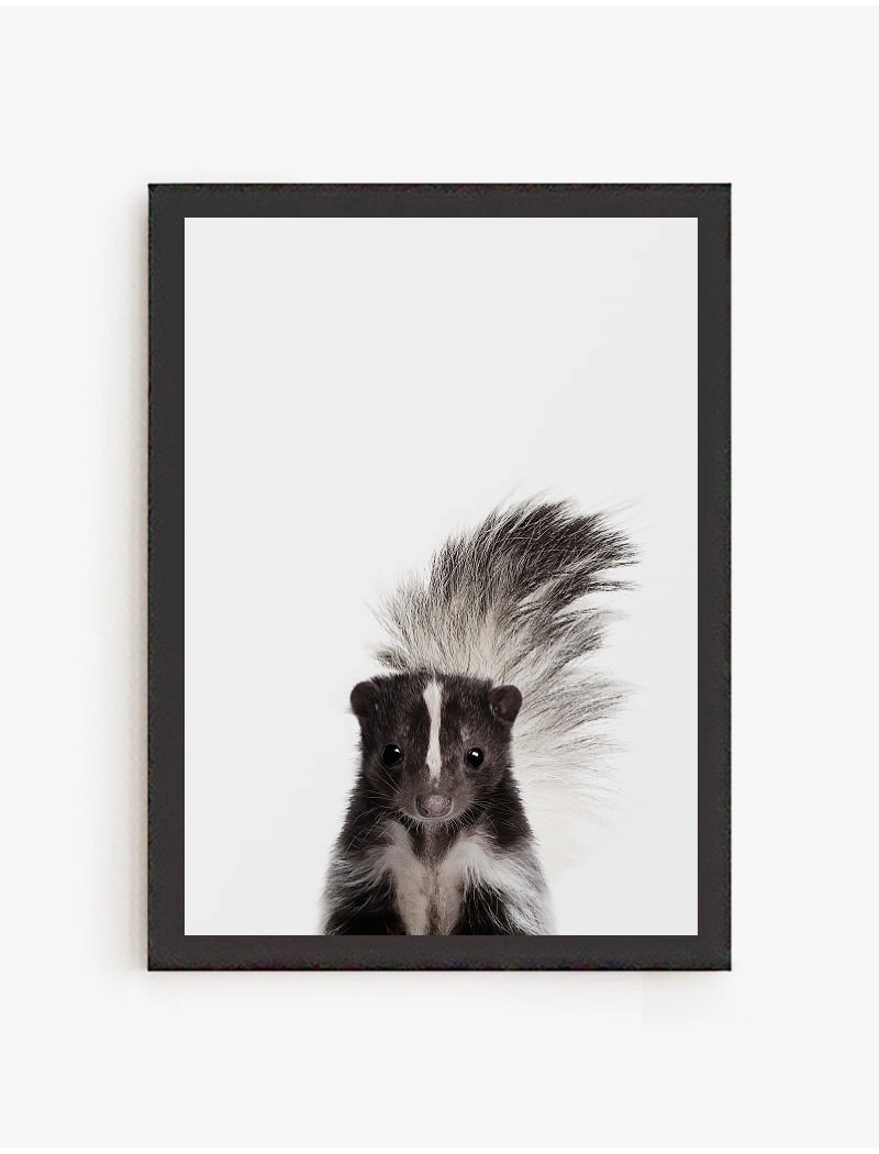 Cuadro Zorrillo | Be Minimal