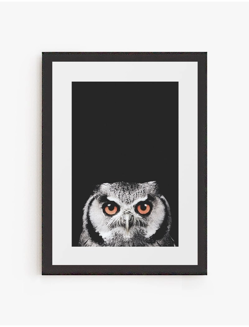Cuadro Búho | Be Minimal