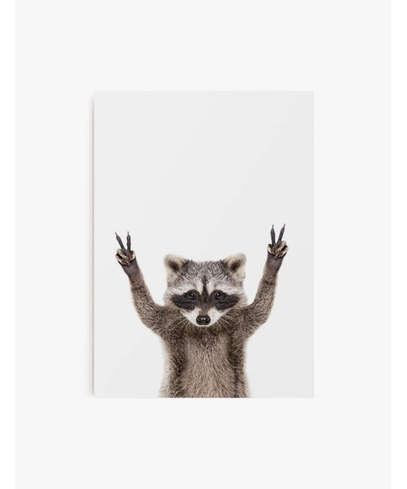 Cuadro Mapache Peace | Be Minimal