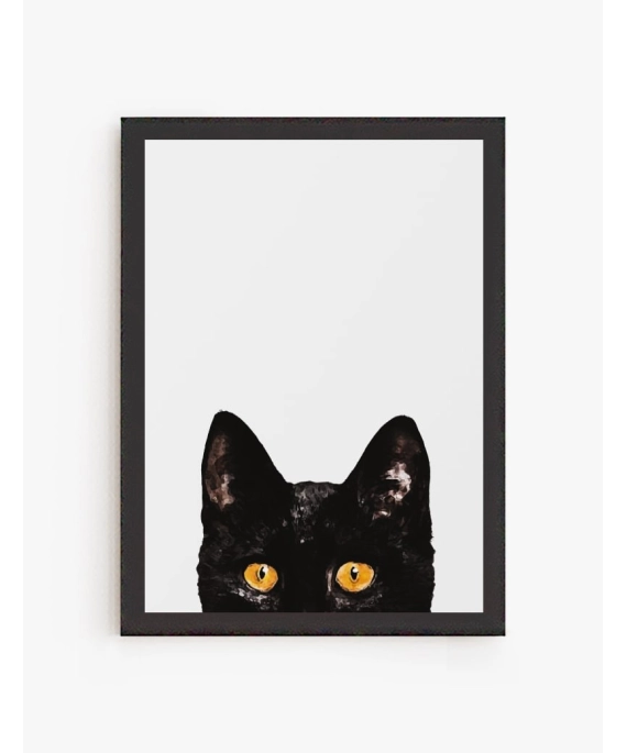 Cuadro Gato Curioso | Be Minimal