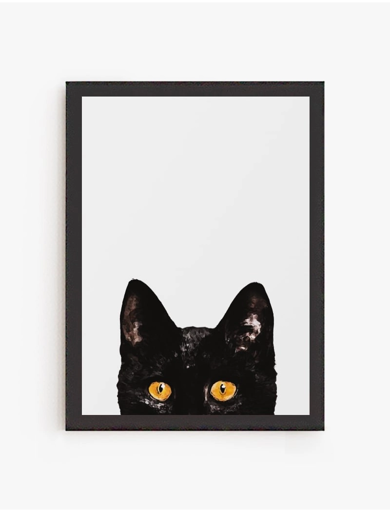 Cuadro Gato Curioso | Be Minimal