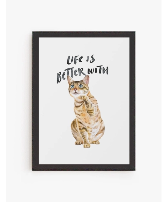 La vida es mejor con Gatos
