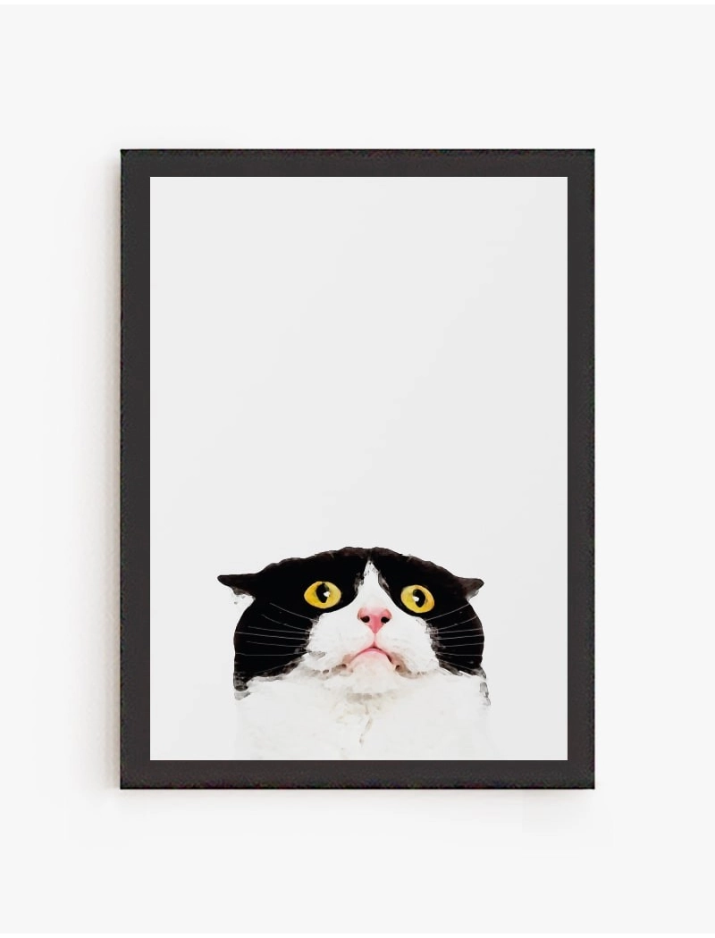 Cuadro Gato Asustado | Be Minimal
