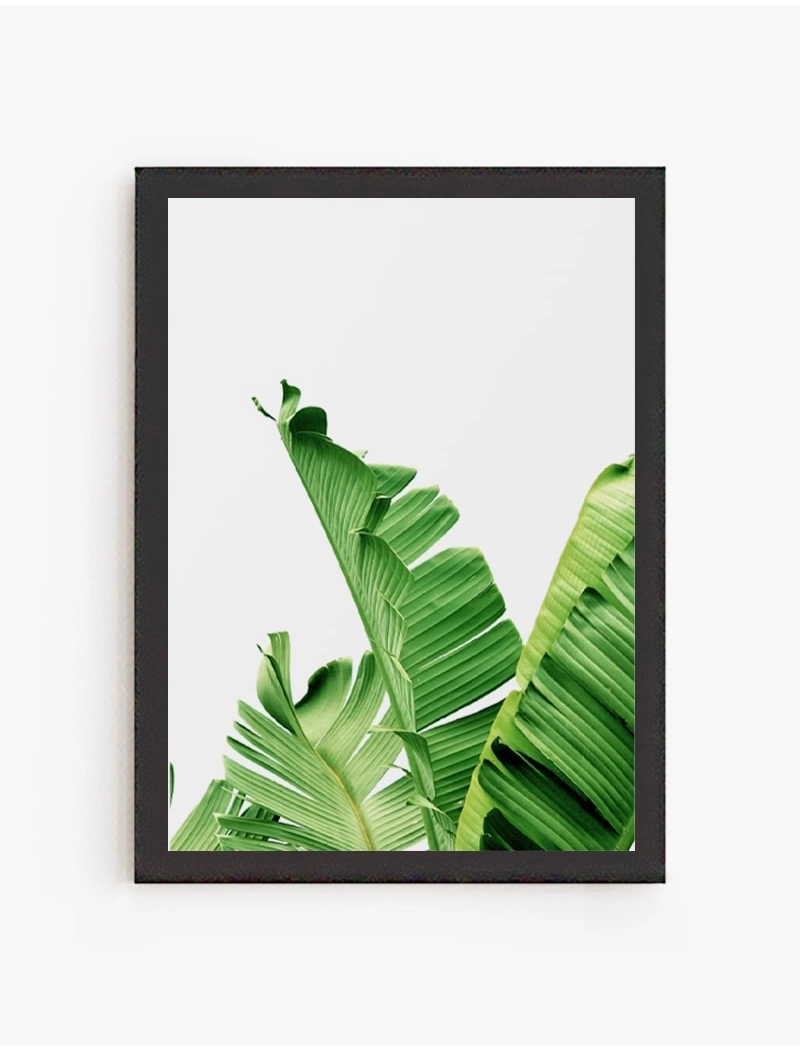 Cuadro Hoja Banana 01 | Be Minimal