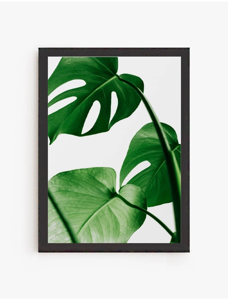 Cuadro Monstera | Be Minimal