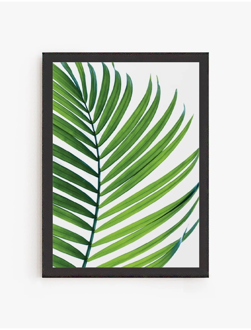 Cuadro Palmera Tropical | Be Minimal