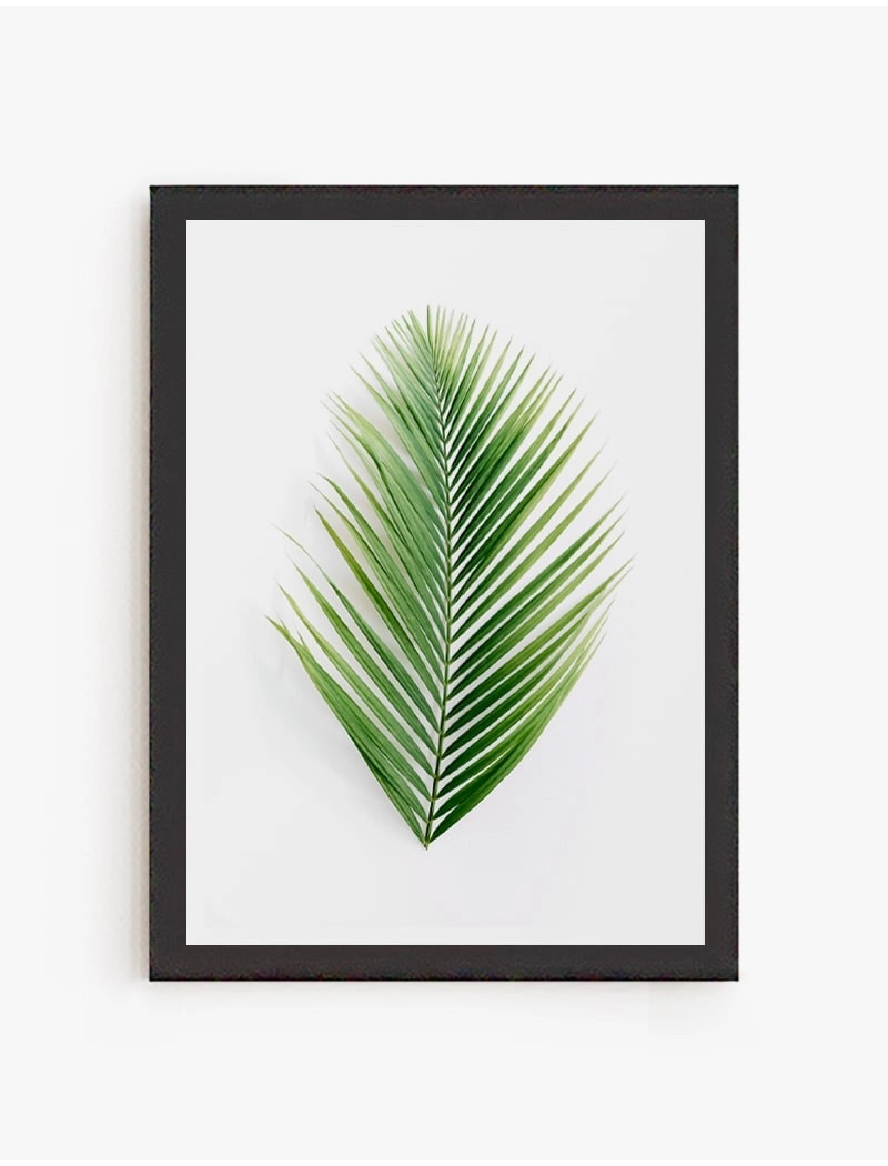 Cuadro Palma Tropical| Be Minimal