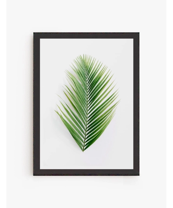 Cuadro Palma Tropical| Be Minimal