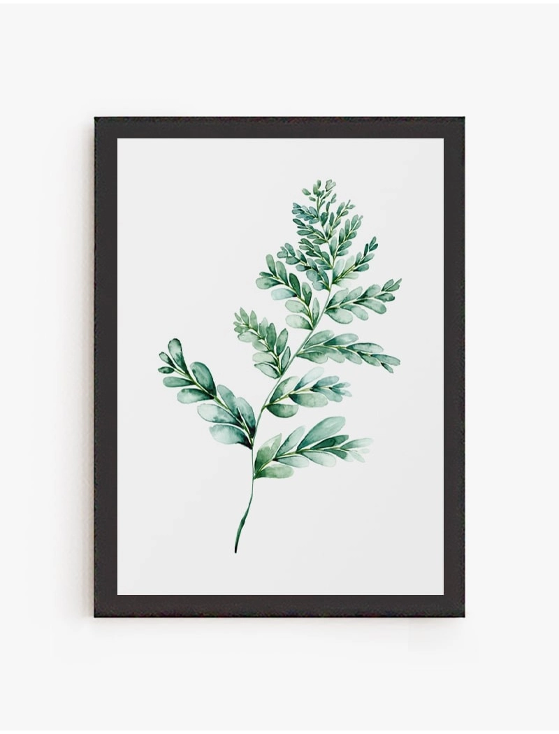 Cuadro Hoja Helecho | Be Minimal